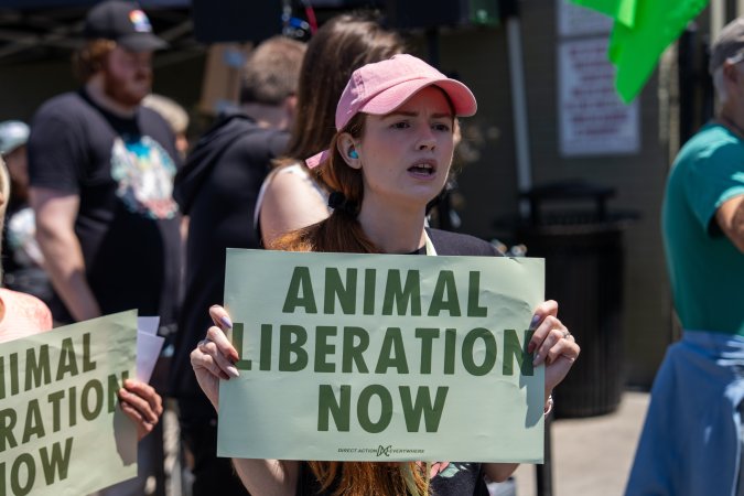 Animal Liberation March 2025
