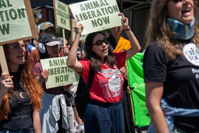 Animal Liberation March 2025