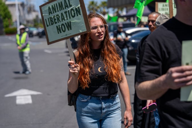 Animal Liberation March 2025