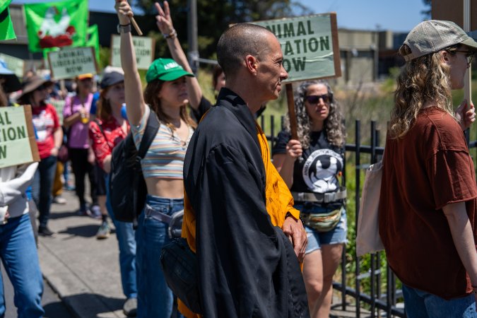 Animal Liberation March 2025