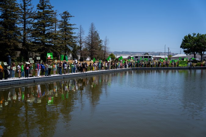 Animal Liberation March 2025