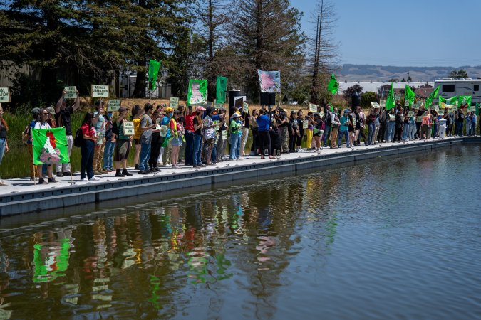 Animal Liberation March 2025