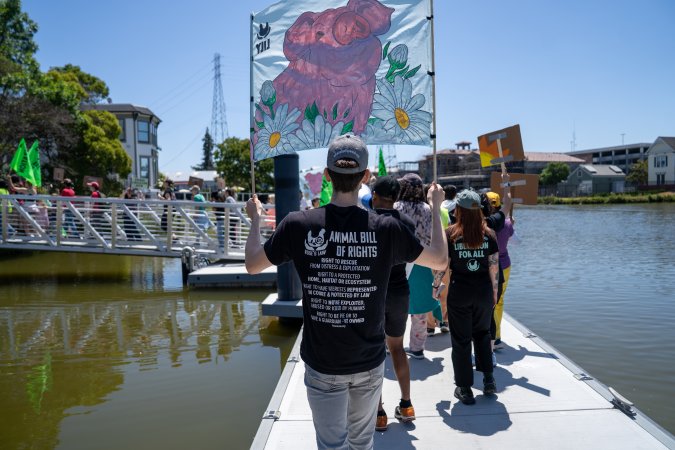 Animal Liberation March 2025