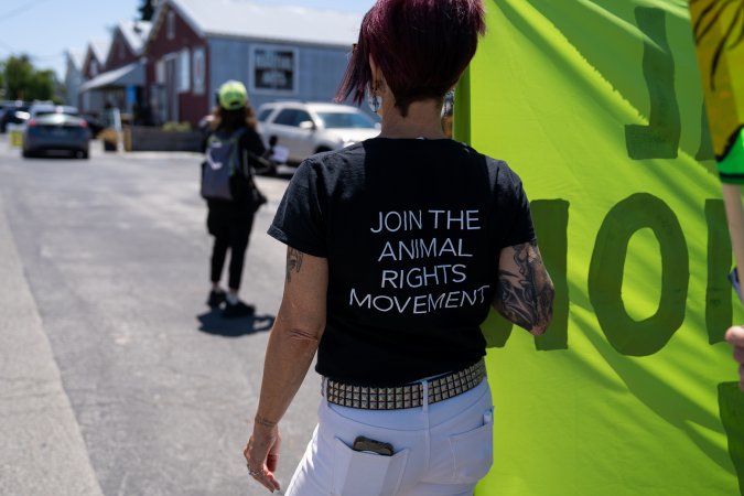 Animal Liberation March 2025