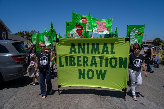 Animal Liberation March 2025