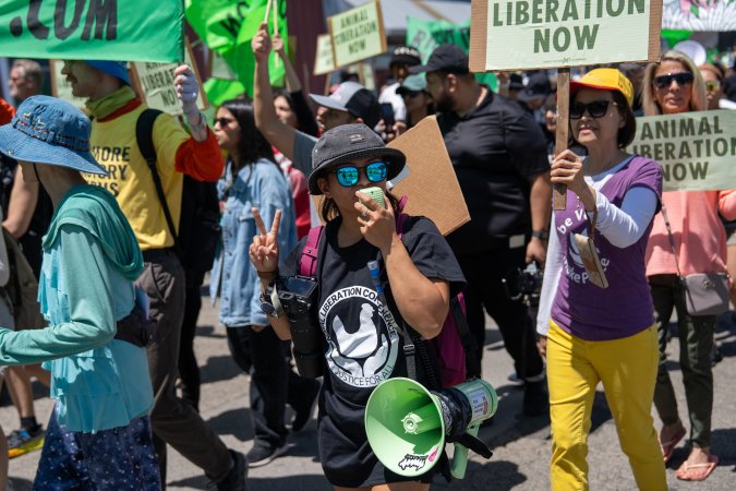 Animal Liberation March 2025