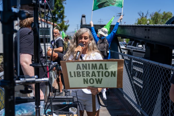 Animal Liberation March 2025