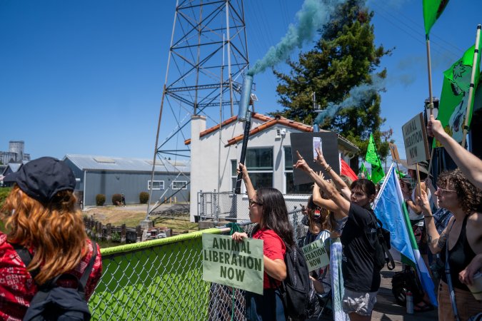 Animal Liberation March 2025