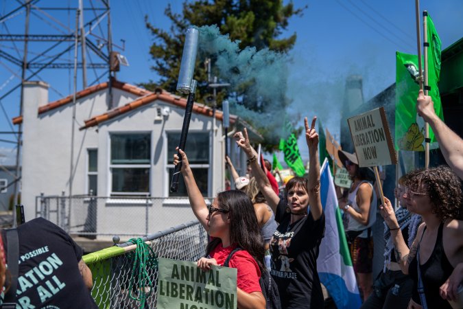 Animal Liberation March 2025