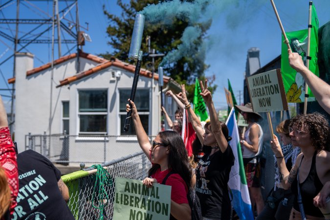 Animal Liberation March 2025