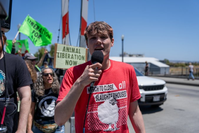 Animal Liberation March 2025