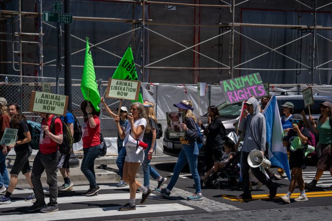 Animal Liberation March 2025