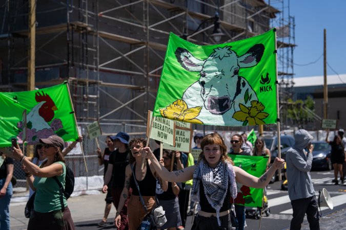 Animal Liberation March 2025