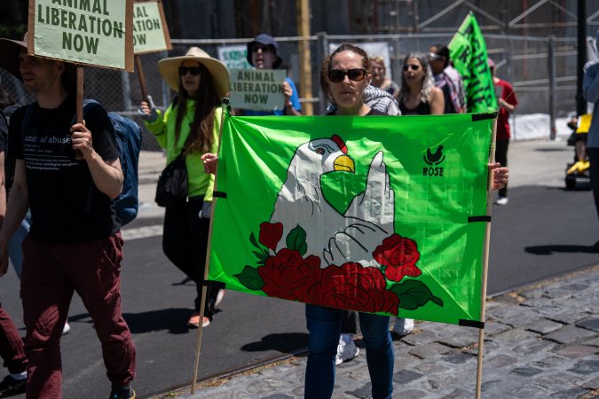 Animal Liberation March 2025
