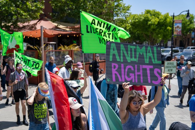 Animal Liberation March 2025