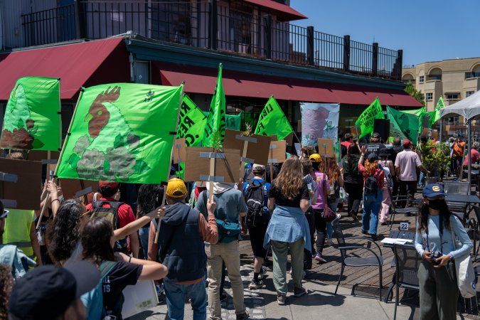 Animal Liberation March 2025