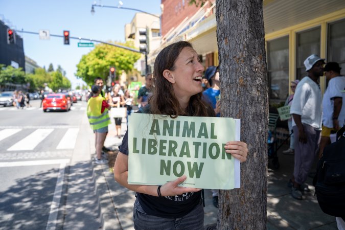 Animal Liberation March 2025