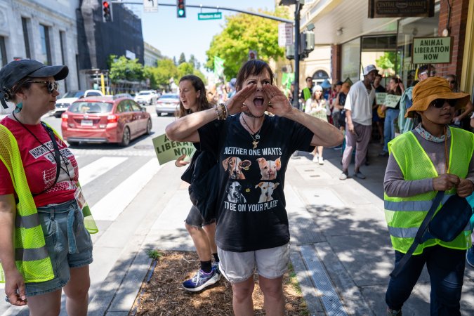 Animal Liberation March 2025