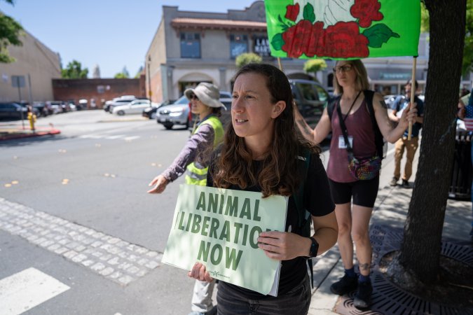 Animal Liberation March 2025