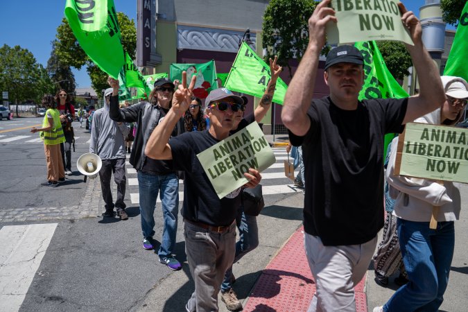 Animal Liberation March 2025
