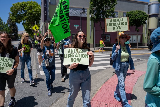 Animal Liberation March 2025