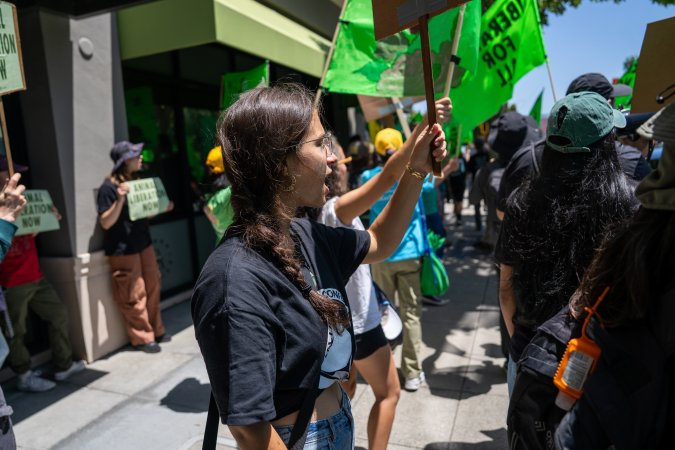 Animal Liberation March 2025