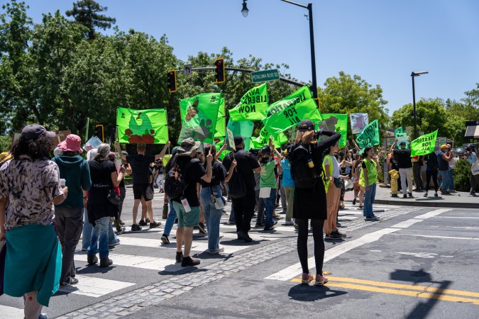 Animal Liberation March 2025