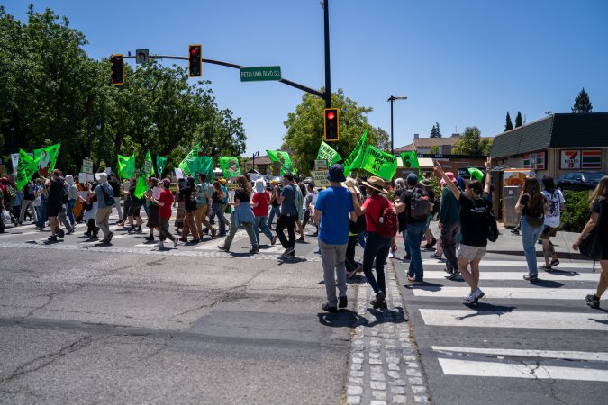Animal Liberation March 2025