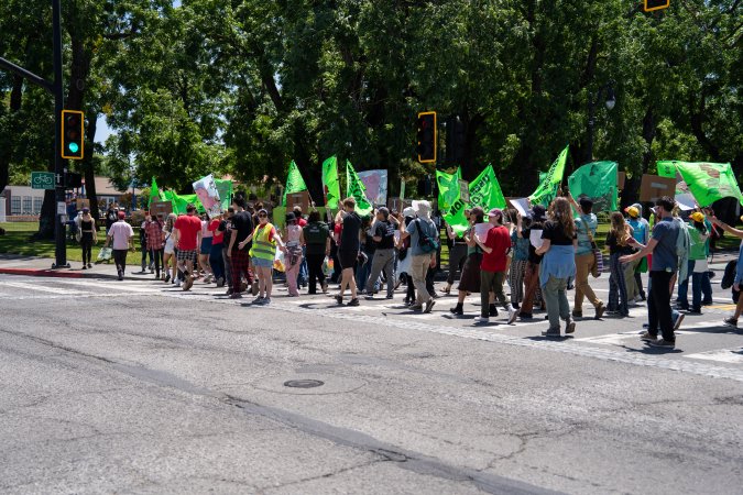 Animal Liberation March 2025