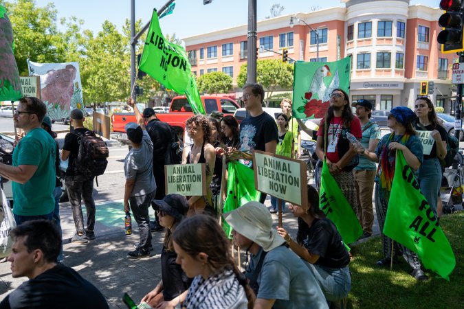 Animal Liberation March 2025