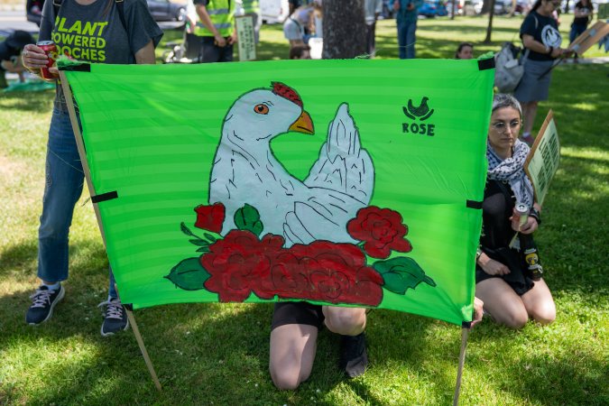 Animal Liberation March 2025