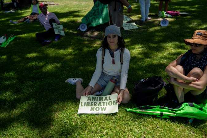Animal Liberation March 2025