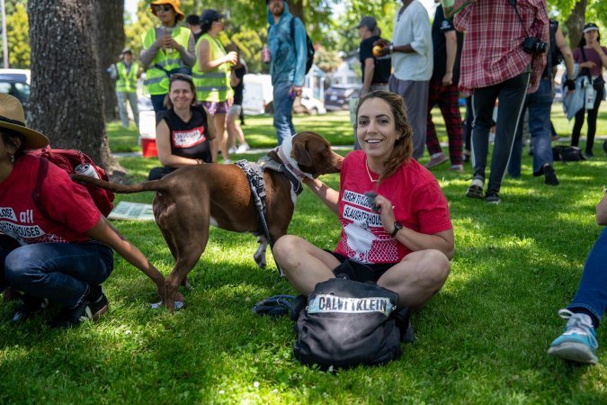 Animal Liberation March 2025