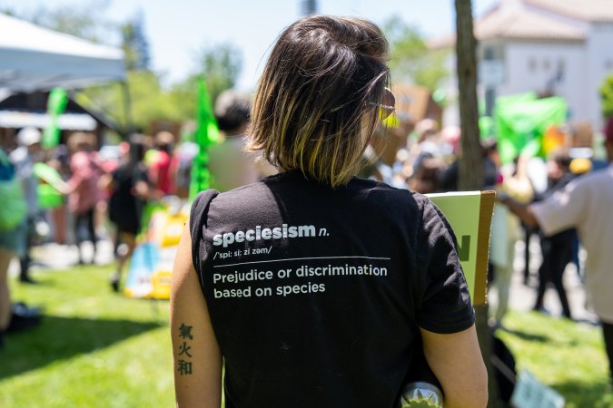 Animal Liberation March 2025