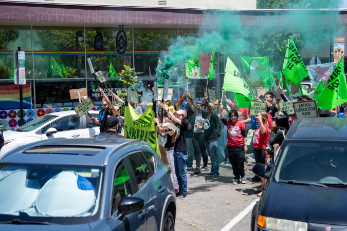 Animal Liberation March 2025