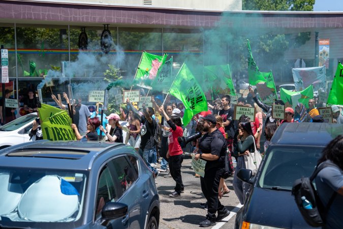 Animal Liberation March 2025