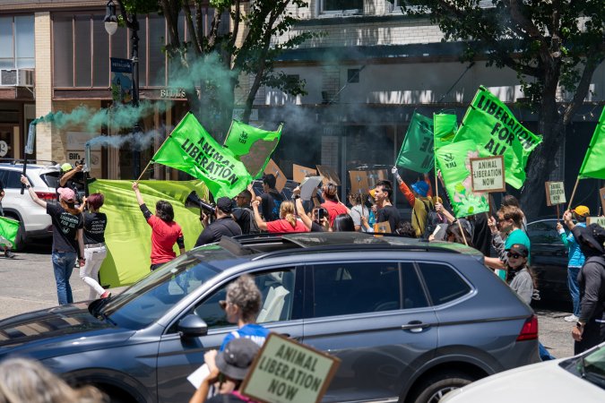 Animal Liberation March 2025