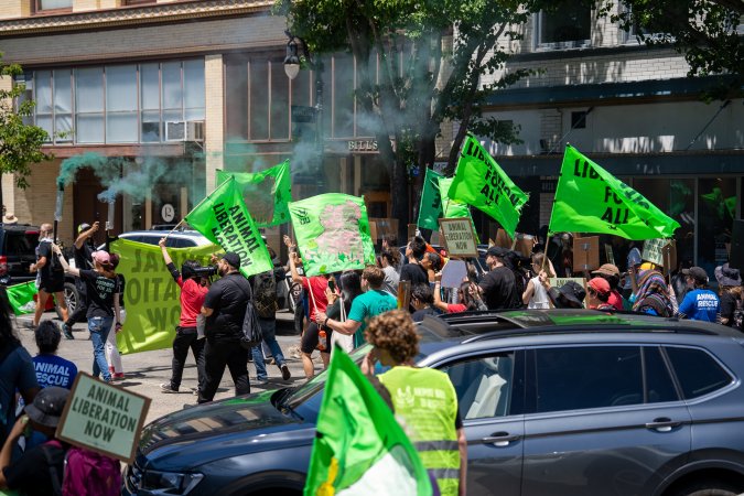 Animal Liberation March 2025