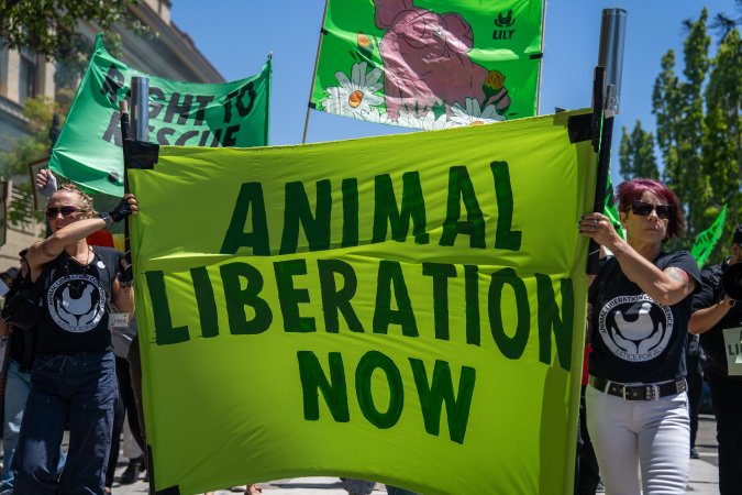 Animal Liberation March 2025