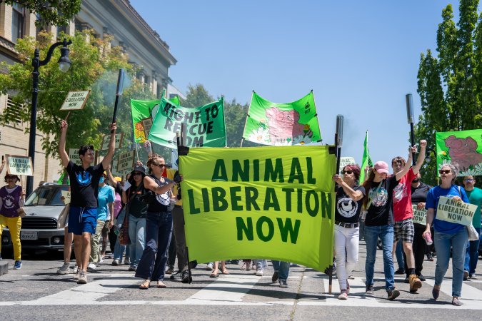 Animal Liberation March 2025