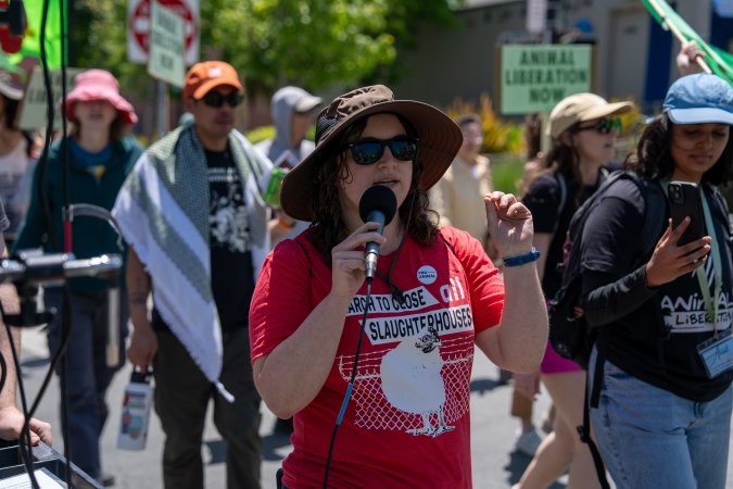 Animal Liberation March 2025
