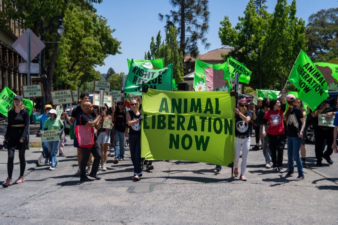 Animal Liberation March 2025