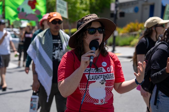 Animal Liberation March 2025