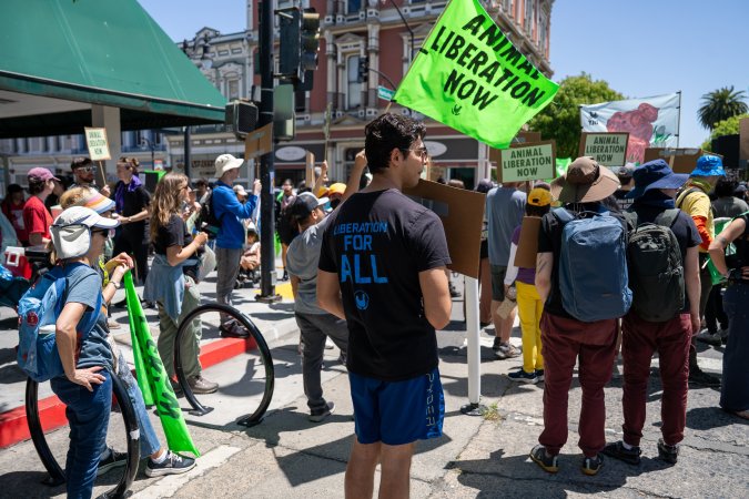 Animal Liberation March 2025