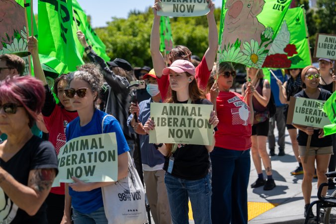Animal Liberation March 2025