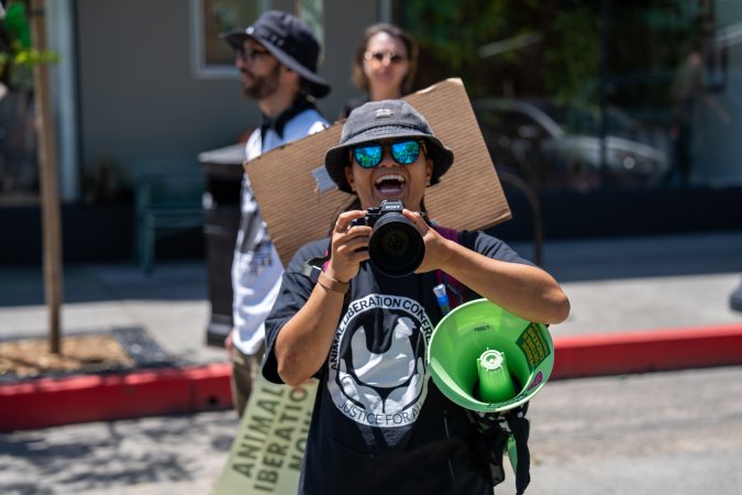Animal Liberation March 2025