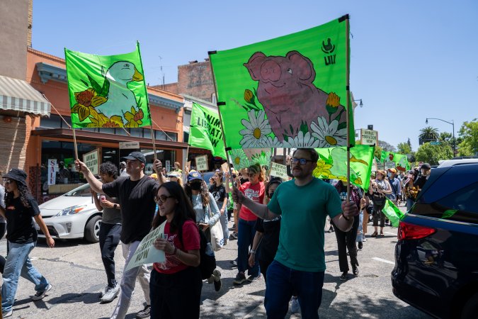 Animal Liberation March 2025