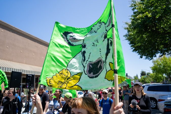 Animal Liberation March 2025