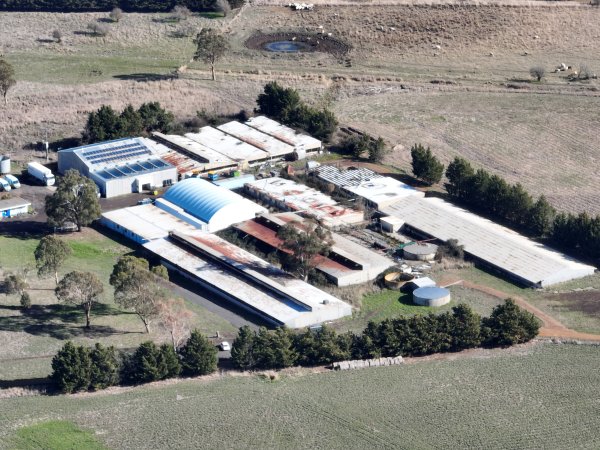 Drone Flyover June 2025