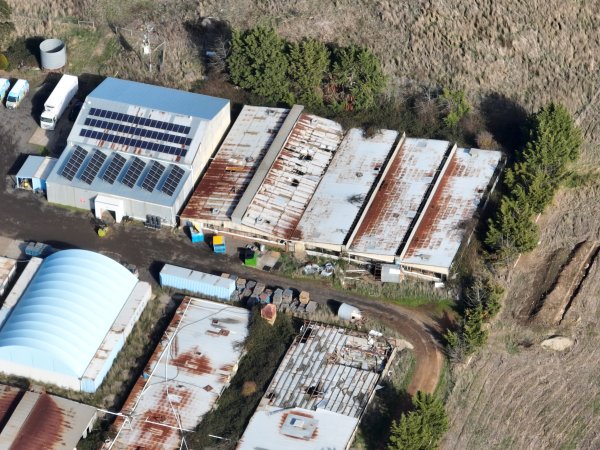 Drone Flyover June 2025